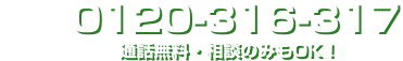 0120-316-317